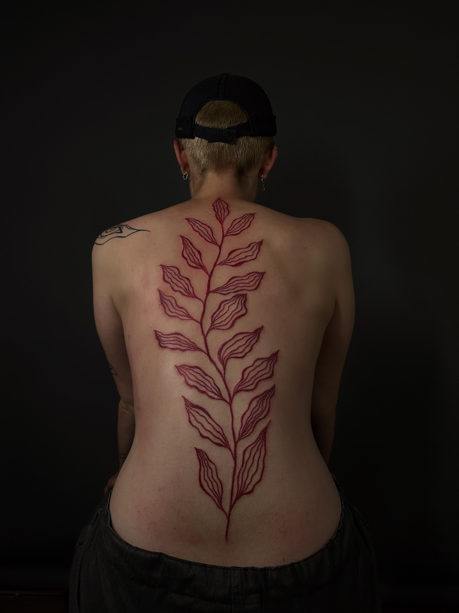 Red-ink fern branch running the length of the back