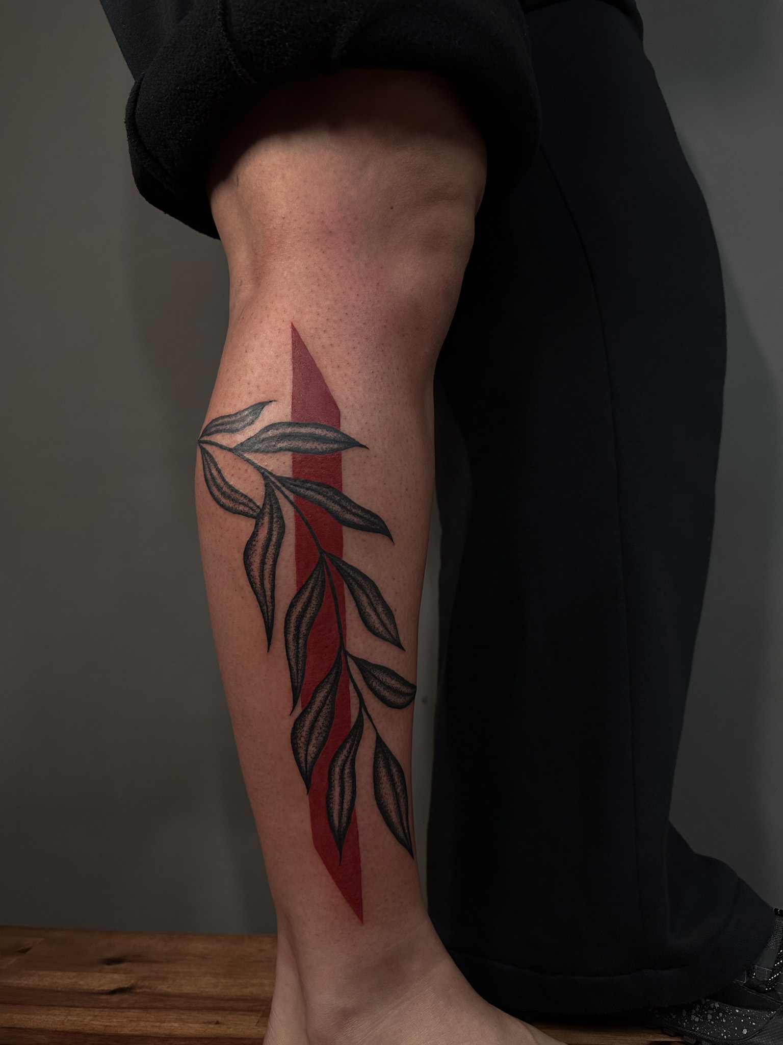 Black leaves winding over a red band on the calf